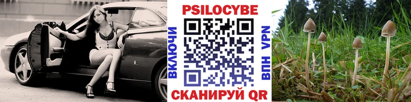 Галлюциногенные грибы Psilocybine cubensis  магазин    Вольск 